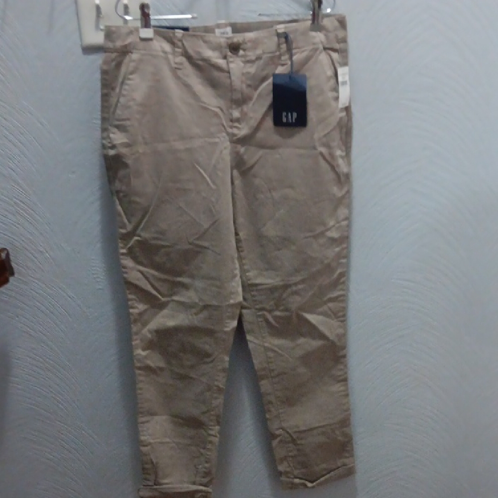 GAP Men's Khaki Chinos